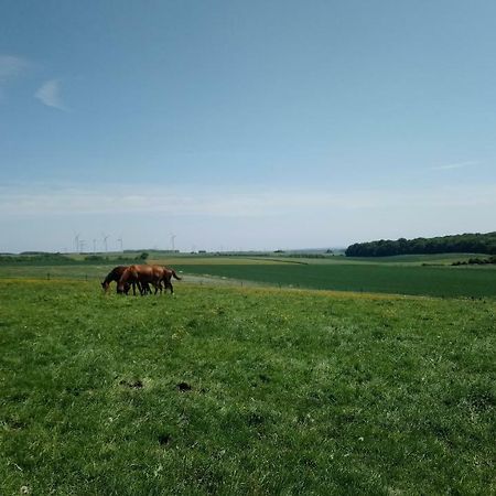 Jad Ranch Hotel Raucourt-et-Flaba Buitenkant foto
