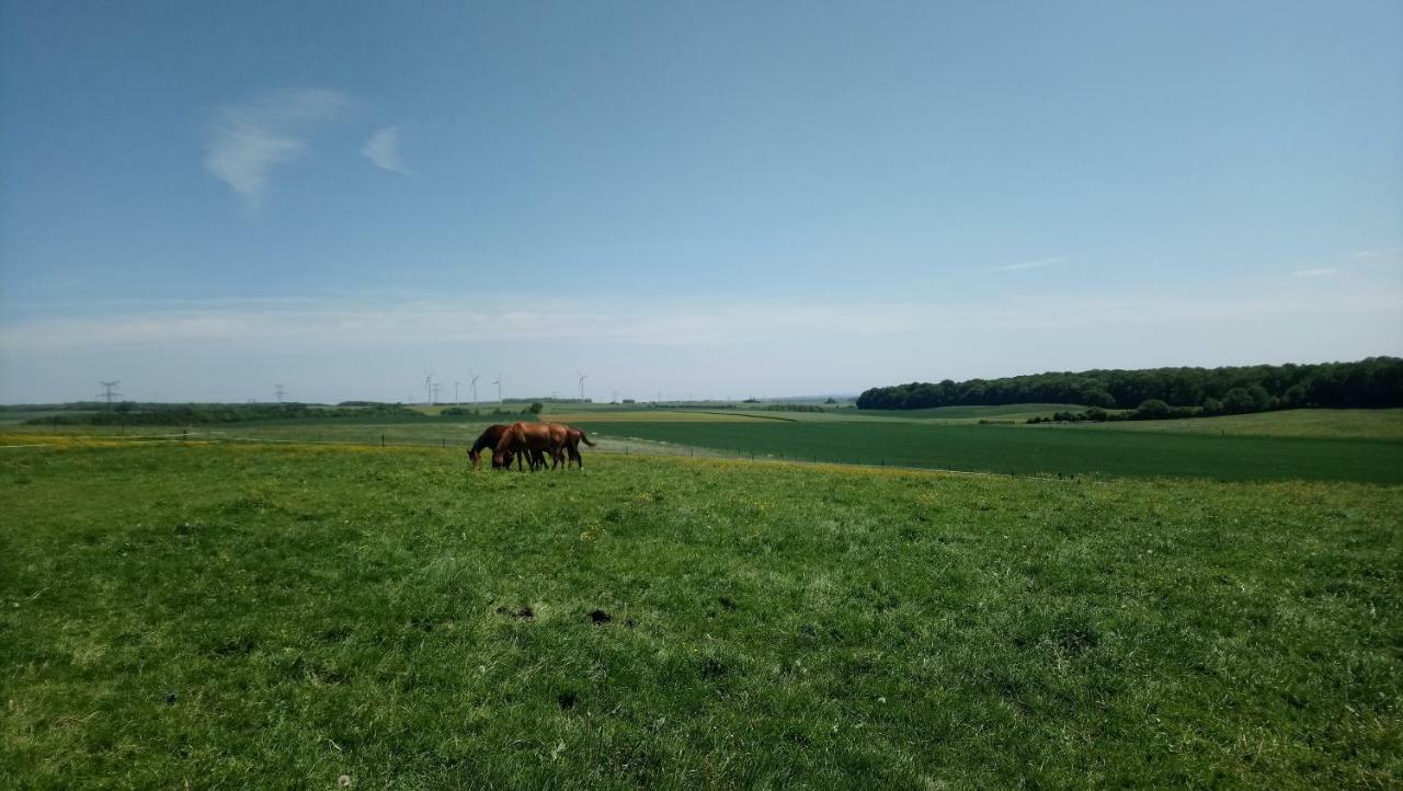 Jad Ranch Hotel Raucourt-et-Flaba Buitenkant foto