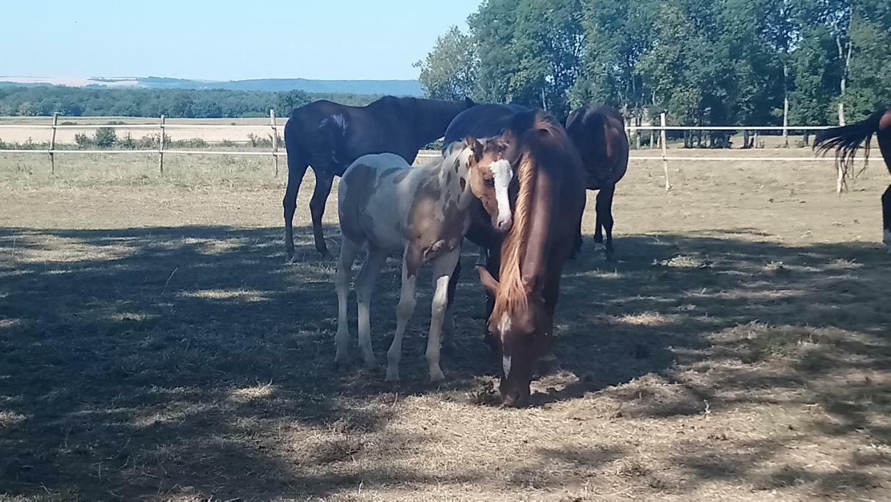 Jad Ranch Hotel Raucourt-et-Flaba Buitenkant foto